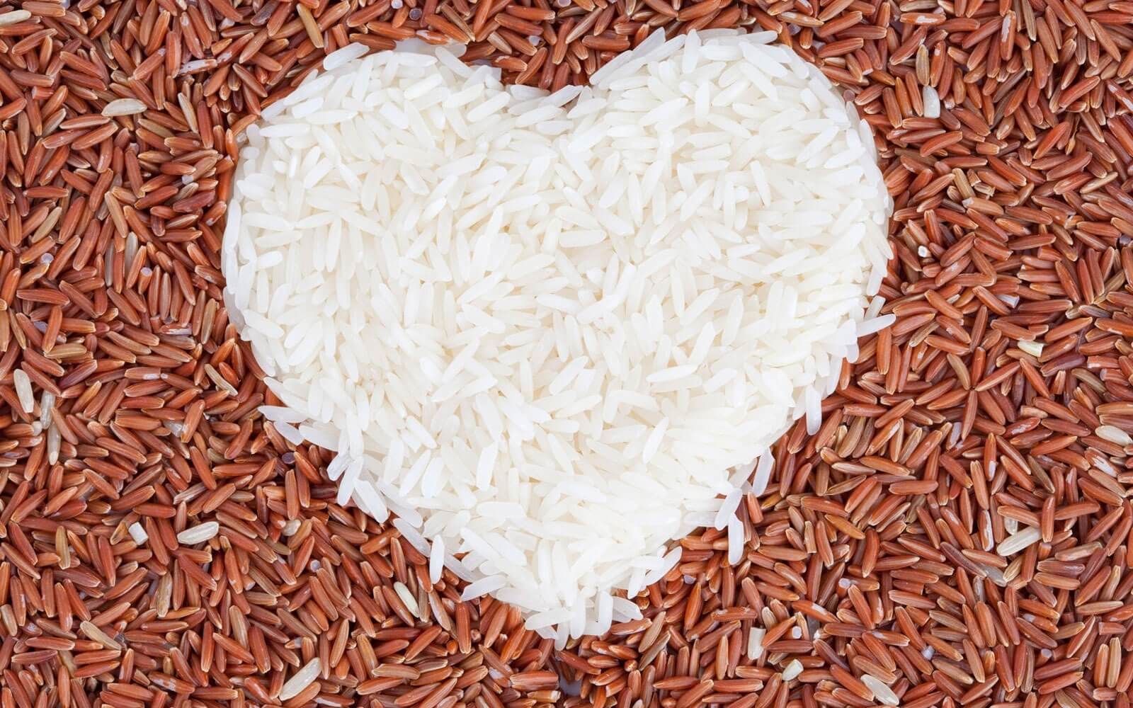 Makan Nasi Bisa Mempengaruhi Kenaikan Gula Darah?